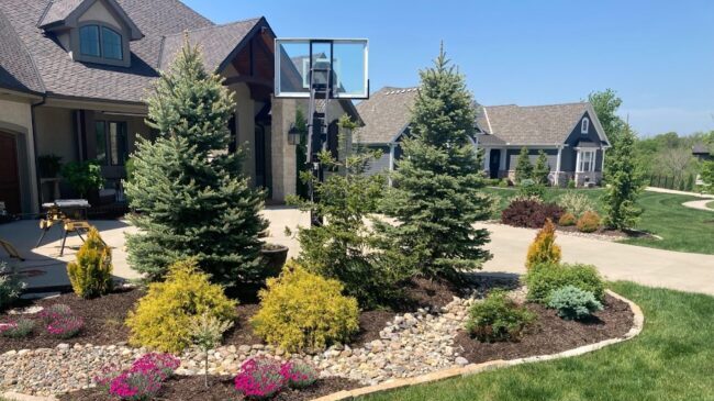 Landscape Design