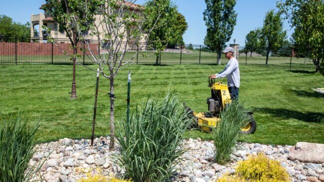 Landscape Construction